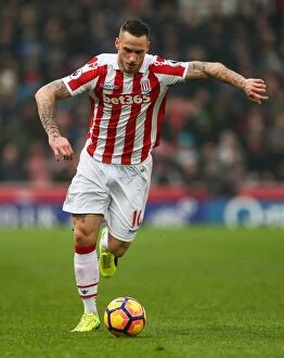 Images Dated 11th February 2017: Stoke City vs Crystal Palace: Premier League Clash at Bet365 Stadium - 11 February 2017