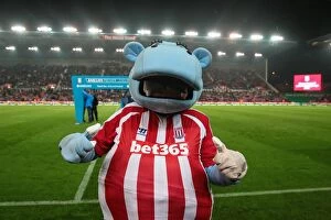 Images Dated 8th October 2014: Stoke City vs Newcastle United Clash: Monday Night Football at the Bet365 Stadium (September 29)