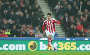 Images Dated 3rd November 2014: Stoke City vs Southampton: Clash at the Bet365 Stadium - October 29, 2014