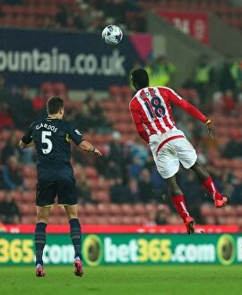 Images Dated 3rd November 2014: Stoke City vs Southampton Clash: October 29, 2014