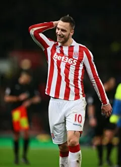 Images Dated 3rd January 2017: Stoke City's Shawcross and Crouch Secure 2-0 Victory Over Watford in Premier League Clash