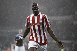 Stoke City v Fulham Collection: Stoke City's Thrilling 3-2 Victory Over Fulham in the Premier League (January 5, 2010)