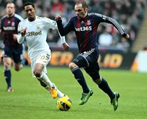 Images Dated 19th January 2013: Swansea City v Stoke City