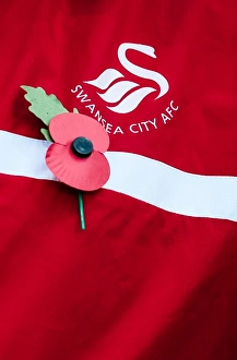 Images Dated 16th December 2013: Swansea City v Stoke City