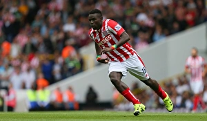 Stokecityfcpicscom Collection: Tottenham v Stoke City