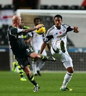 Swansea City v Stoke City Collection: Welsh Rivalry: Swansea City vs Stoke City (November 10, 2013)