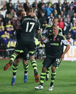 Swansea City v Stoke City Collection: Welsh Rivalry: Swansea City vs Stoke City (November 10, 2013)