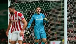 Images Dated 13th January 2016: Winter Battle: Stoke City vs Norwich City at Bet365 Stadium - January 13, 2016